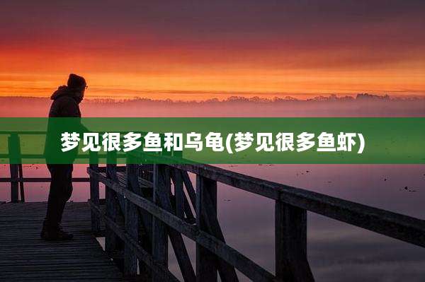 梦见很多鱼和乌龟(梦见很多鱼虾)