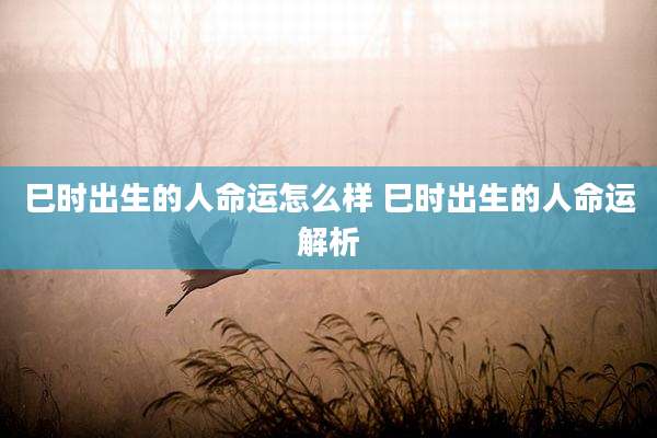 巳时出生的人命运怎么样 巳时出生的人命运解析