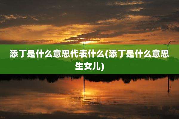 添丁是什么意思代表什么(添丁是什么意思生女儿)