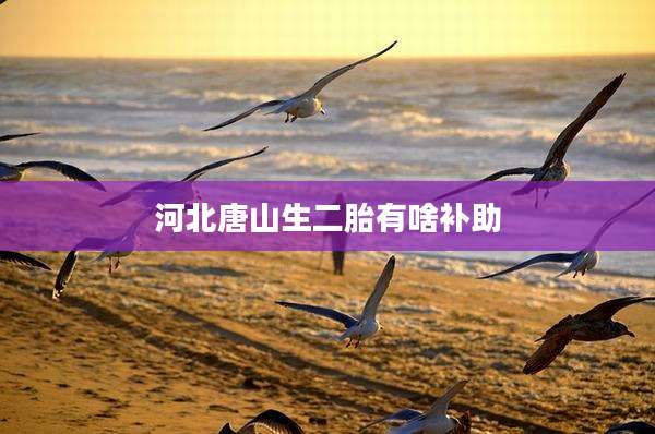 河北唐山生二胎有啥补助
