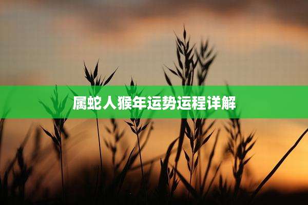 属蛇人猴年运势运程详解