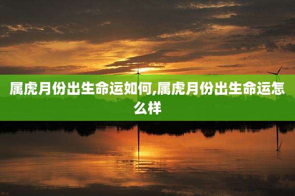 属虎月份出生命运如何,属虎月份出生命运怎么样