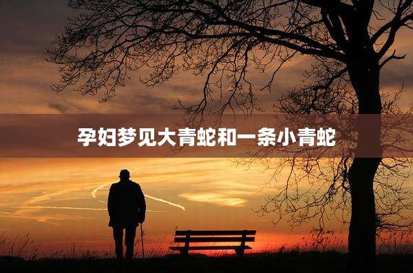 孕妇梦见大青蛇和一条小青蛇