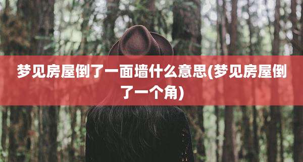 梦见房屋倒了一面墙什么意思(梦见房屋倒了一个角)