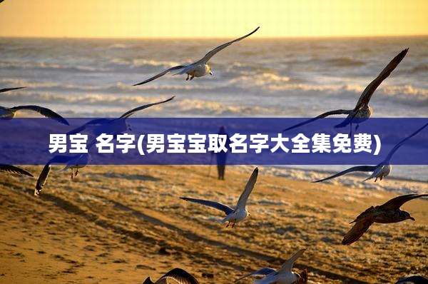 男宝 名字(男宝宝取名字大全集免费)