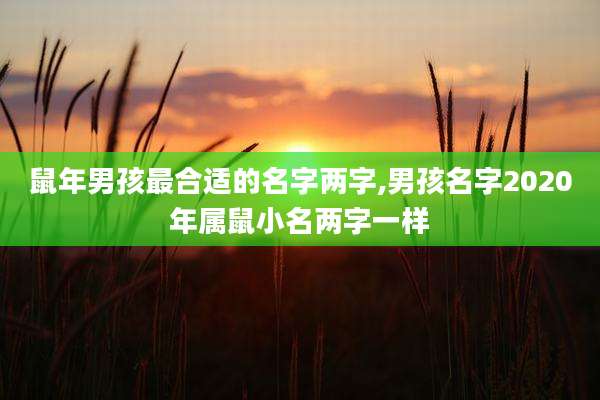 鼠年男孩最合适的名字两字,男孩名字2020年属鼠小名两字一样