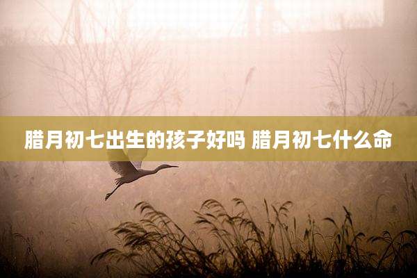 腊月初七出生的孩子好吗 腊月初七什么命