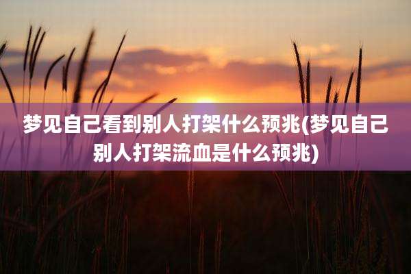 梦见自己看到别人打架什么预兆(梦见自己别人打架流血是什么预兆)