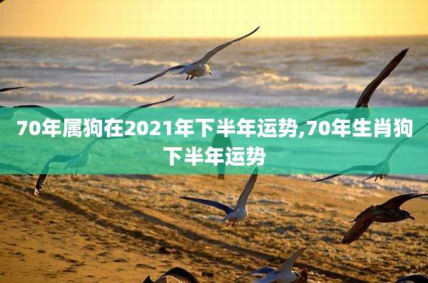 70年属狗在2021年下半年运势,70年生肖狗下半年运势