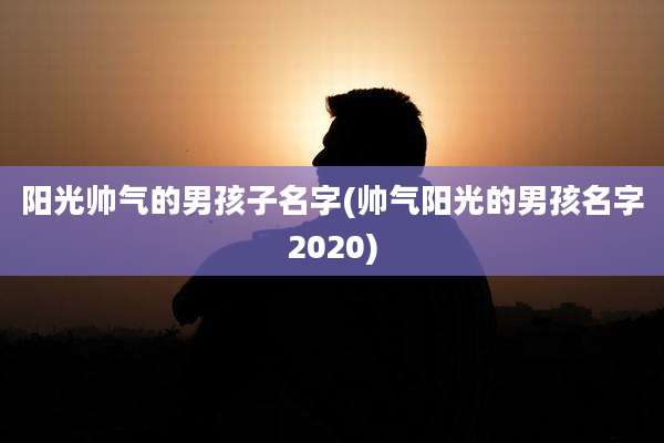 阳光帅气的男孩子名字(帅气阳光的男孩名字2020)