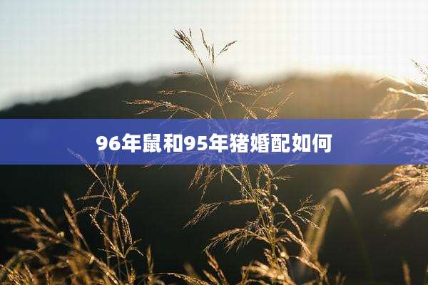 96年鼠和95年猪婚配如何