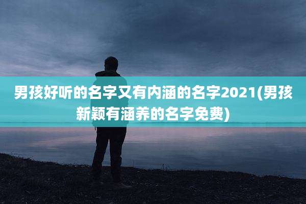 男孩好听的名字又有内涵的名字2021(男孩新颖有涵养的名字免费)