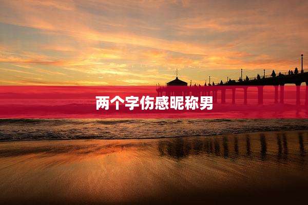 两个字伤感昵称男
