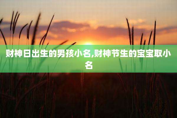 财神日出生的男孩小名,财神节生的宝宝取小名