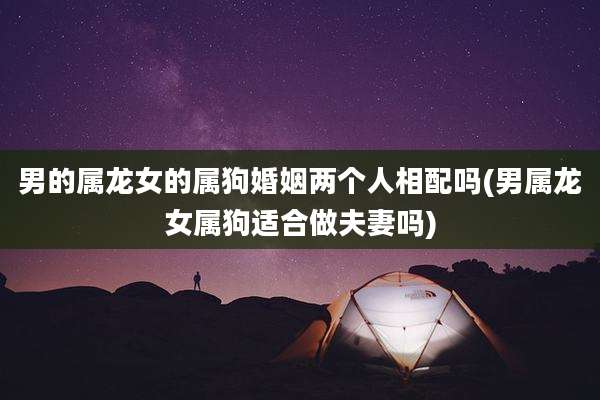 男的属龙女的属狗婚姻两个人相配吗(男属龙女属狗适合做夫妻吗)
