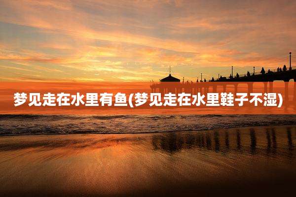 梦见走在水里有鱼(梦见走在水里鞋子不湿)