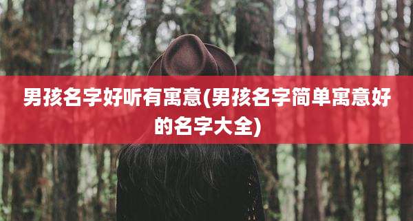 男孩名字好听有寓意(男孩名字简单寓意好的名字大全)