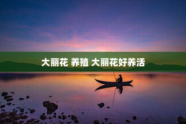大丽花 养殖 大丽花好养活