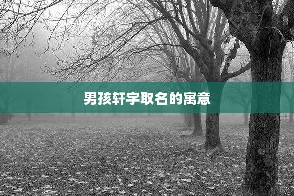 男孩轩字取名的寓意