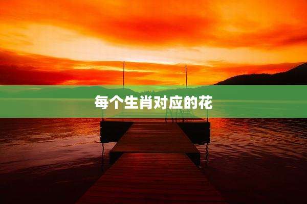 每个生肖对应的花