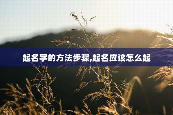 起名字的方法步骤,起名应该怎么起