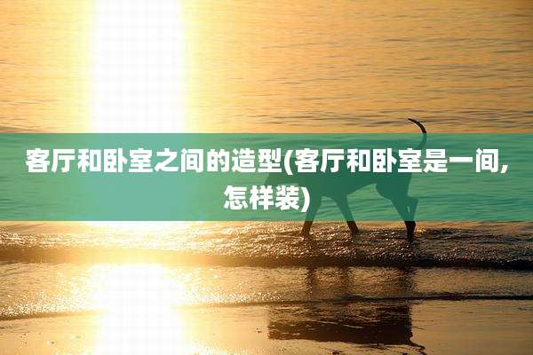 客厅和卧室之间的造型(客厅和卧室是一间,怎样装)