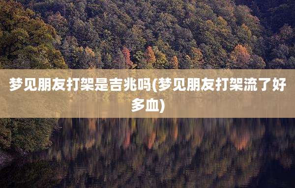 梦见朋友打架是吉兆吗(梦见朋友打架流了好多血)