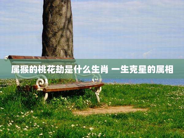 属猴的桃花劫是什么生肖 一生克星的属相