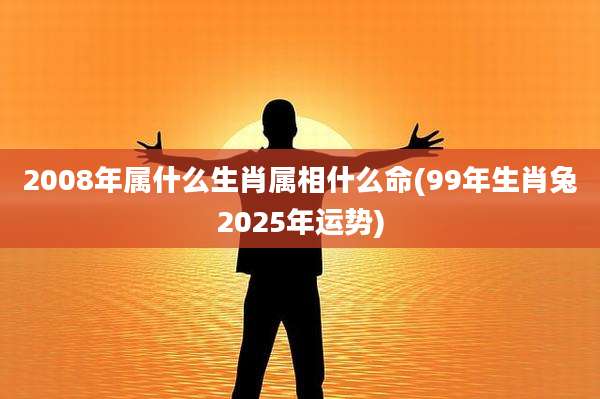 2008年属什么生肖属相什么命(99年生肖兔2025年运势)