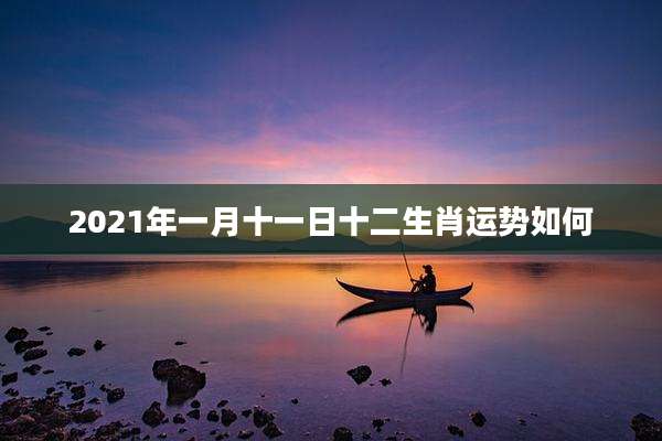2021年一月十一日十二生肖运势如何