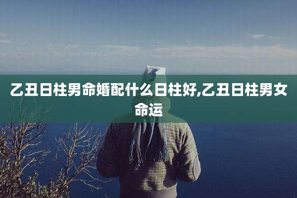 乙丑日柱男命婚配什么日柱好,乙丑日柱男女命运