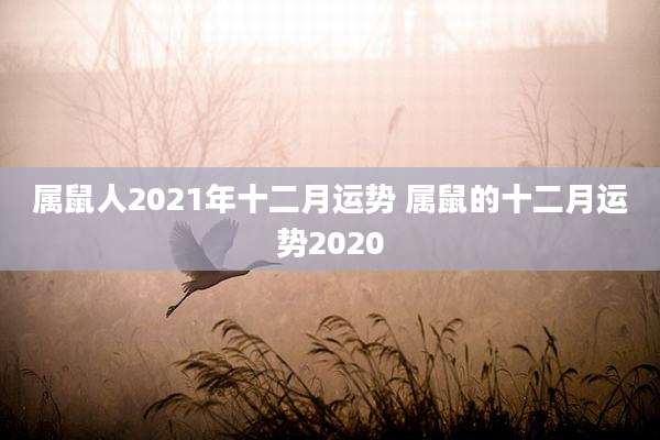 属鼠人2021年十二月运势 属鼠的十二月运势2020