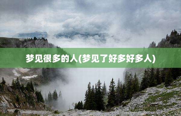梦见很多的人(梦见了好多好多人)