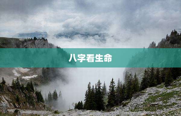 八字看生命