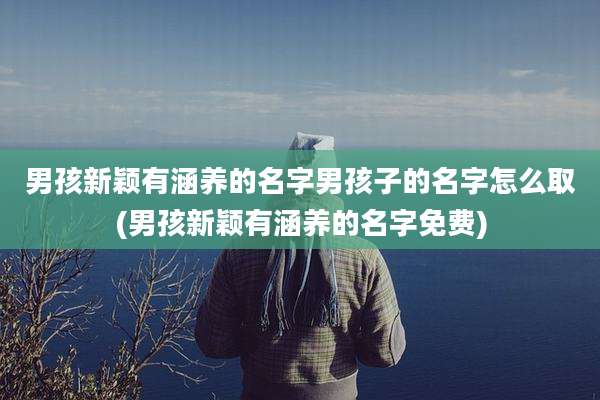男孩新颖有涵养的名字男孩子的名字怎么取(男孩新颖有涵养的名字免费)