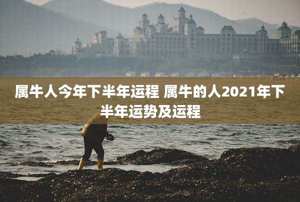 属牛人今年下半年运程 属牛的人2021年下半年运势及运程