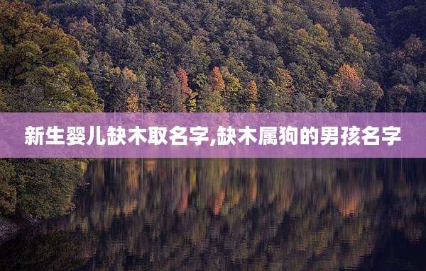 新生婴儿缺木取名字,缺木属狗的男孩名字