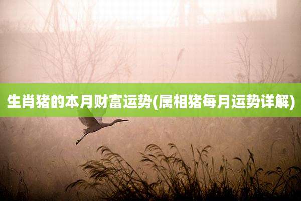 生肖猪的本月财富运势(属相猪每月运势详解)