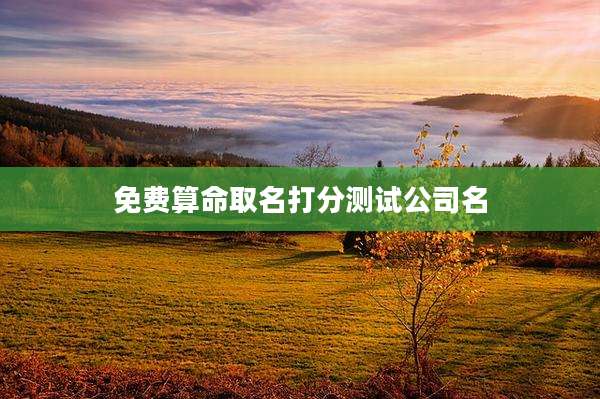 免费算命取名打分测试公司名