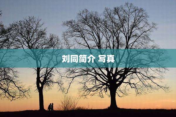 刘同简介 写真