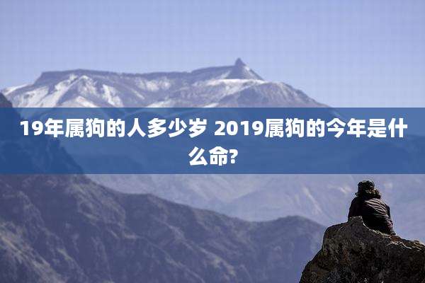 19年属狗的人多少岁 2019属狗的今年是什么命?