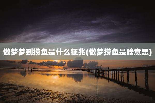 做梦梦到捞鱼是什么征兆(做梦捞鱼是啥意思)