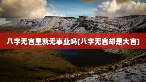 八字无官星就无事业吗(八字无官却是大官)