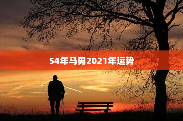 54年马男2021年运势