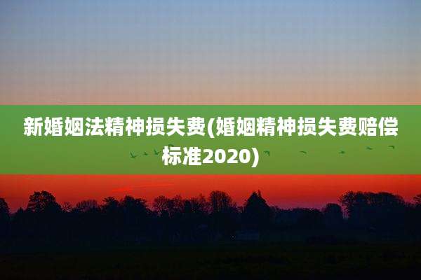 新婚姻法精神损失费(婚姻精神损失费赔偿标准2020)