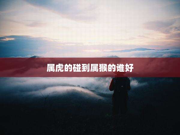 属虎的碰到属猴的谁好