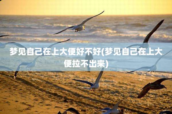 梦见自己在上大便好不好(梦见自己在上大便拉不出来)
