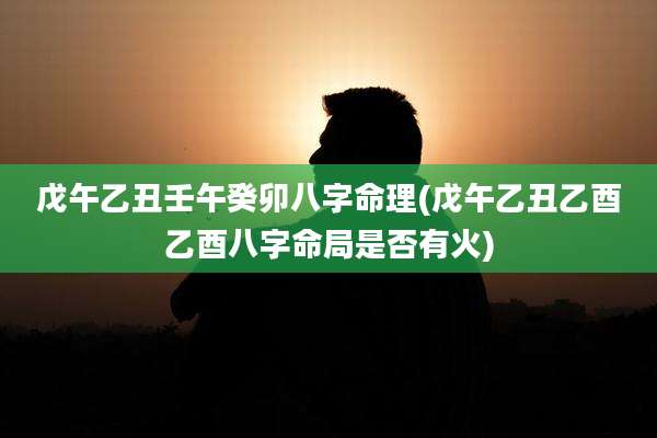 戊午乙丑壬午癸卯八字命理(戊午乙丑乙酉乙酉八字命局是否有火)