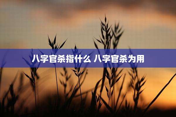 八字官杀指什么 八字官杀为用