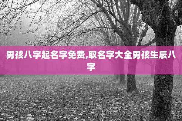 男孩八字起名字免费,取名字大全男孩生辰八字